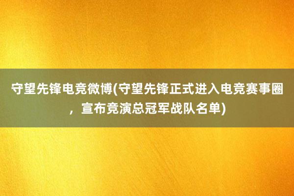 守望先锋电竞微博(守望先锋正式进入电竞赛事圈，宣布竞演总冠军战队名单)